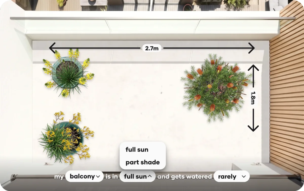 Planting layout for a bright, sunny garden